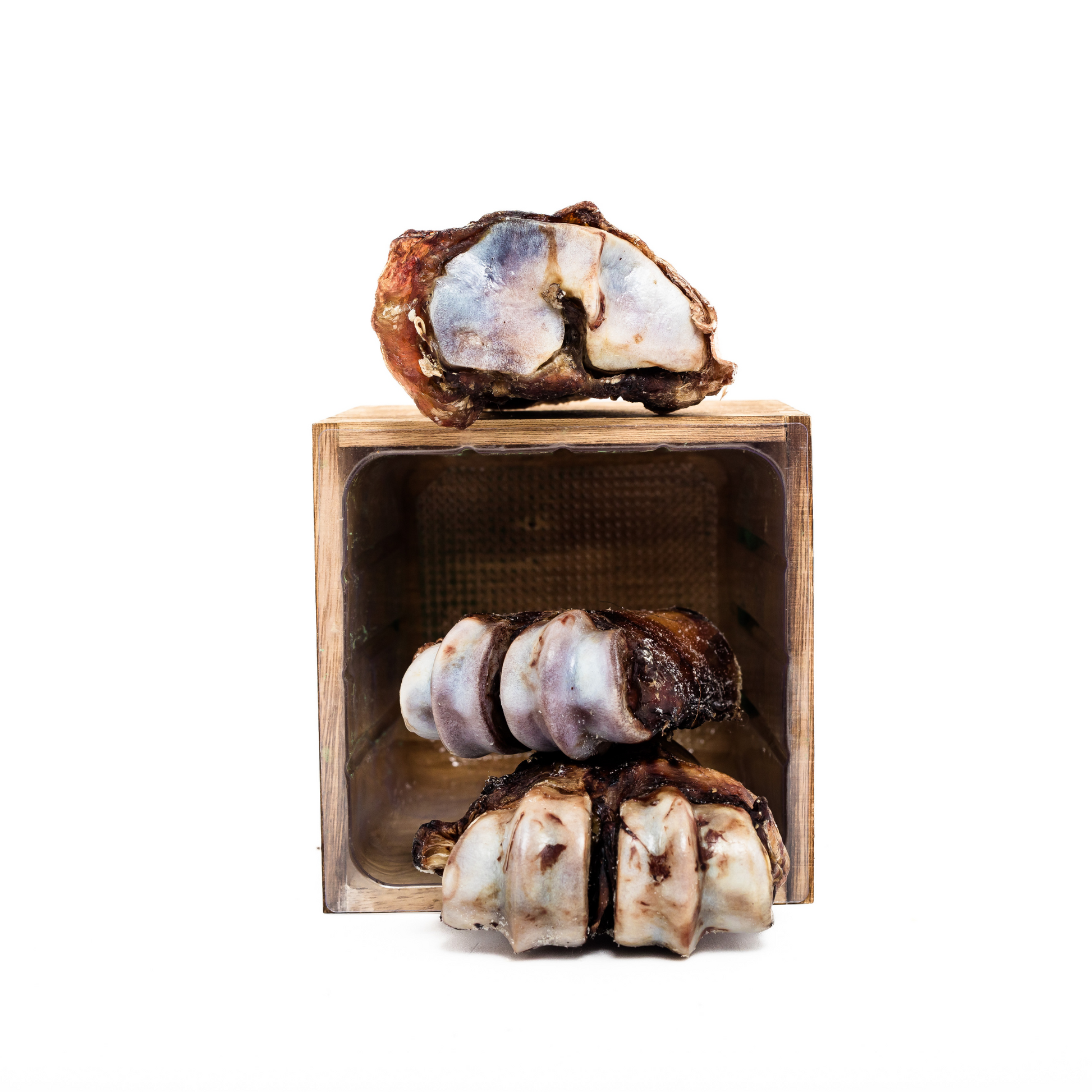 Two large Wild Nosh Pets Baked Bison Half Shin Bones, resembling durable chews, are displayed on and inside a wooden box against a white background.