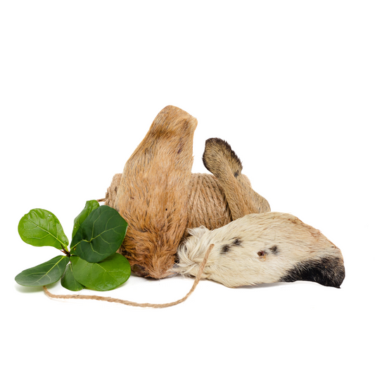 The Wild Nosh Pets Dehydrated Hairy Goat Ear bundle includes a hairy goat ear, rope, and green leaf on a white background—perfect as a nutritious chew treat for sensitive dogs.