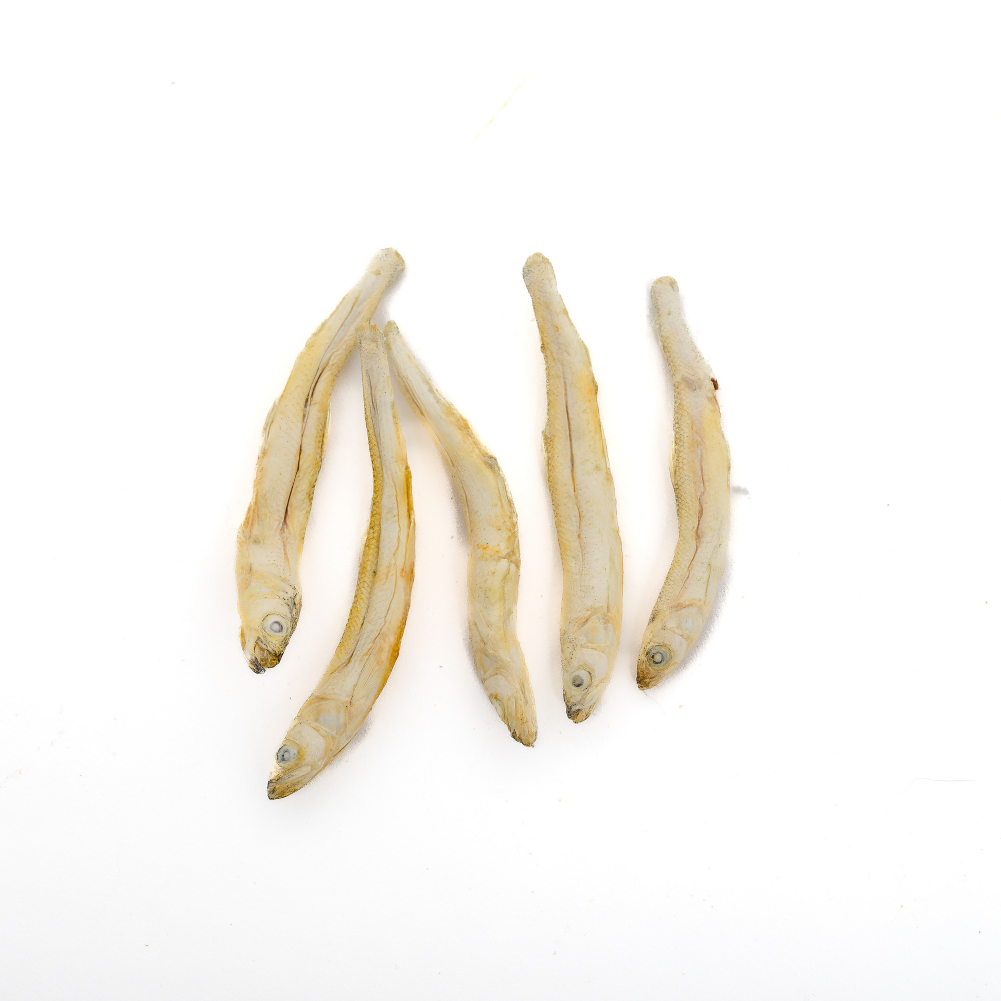 Five Freeze-Dried Smelt from Wild Nosh Pets are arranged on a plain white background, showcasing this 1 oz. sustainable seafood treat that’s rich in Omega-3 fatty acids.
