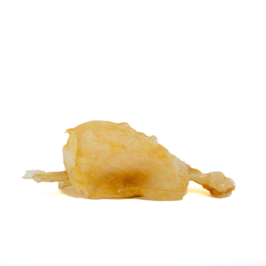 A single Wild Nosh Pets Carp Swim Sac, rich in Omega Fatty acids and gentle on sensitive stomachs, is shown against a plain white background.