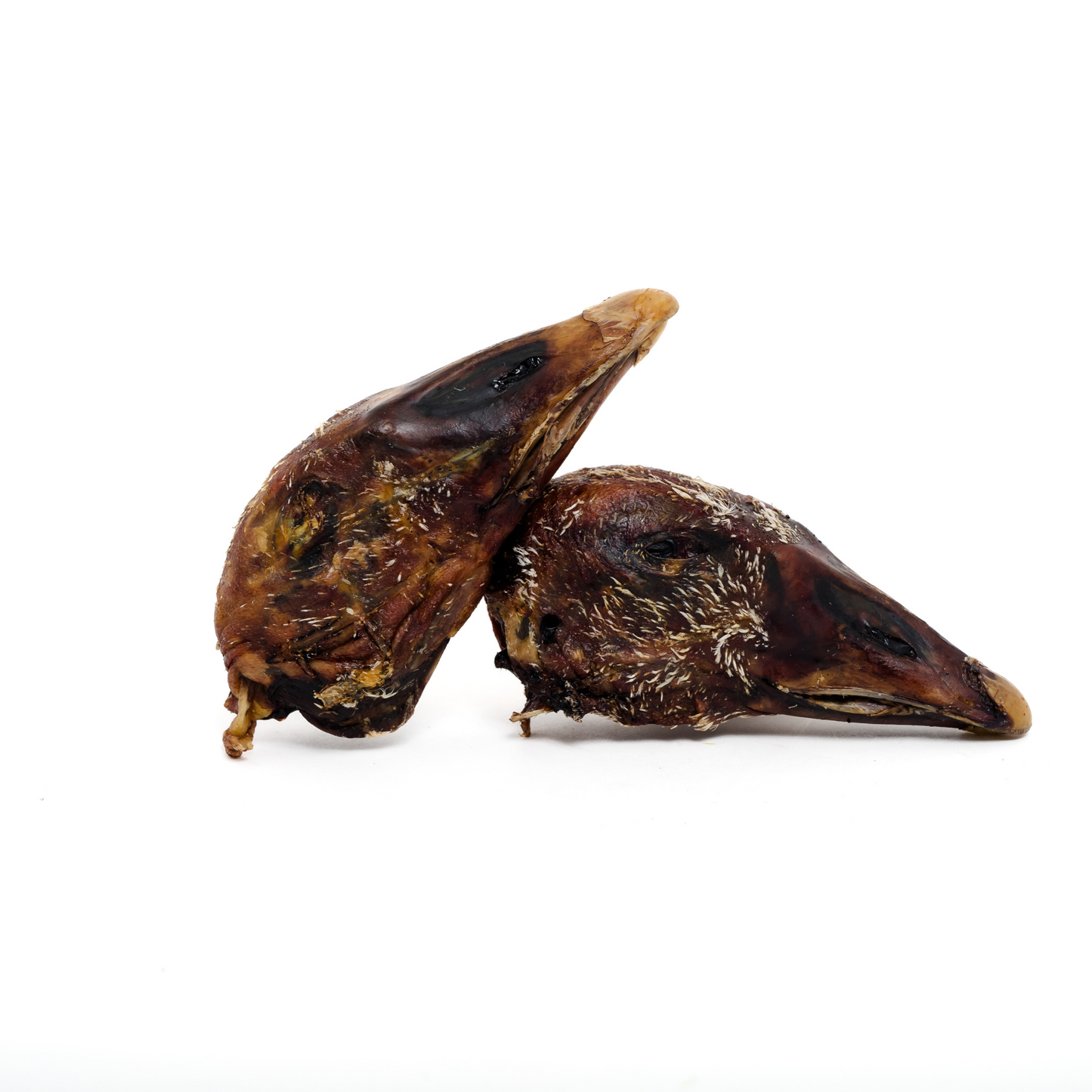 Wild Nosh Pets Dehydrated Goose Heads are shown against a white background, featuring visible beaks and feathers for an enticing, crunchy dog treat.