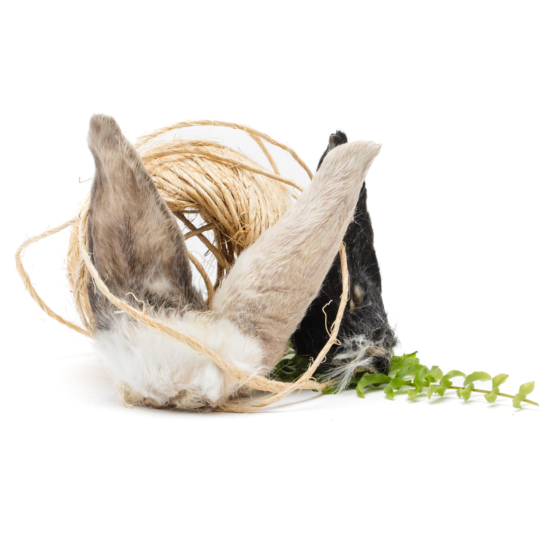 A pair of Wild Nosh Pets Rabbit Ears, one gray and one black, are entangled in a ball of twine with a small green plant nearby.