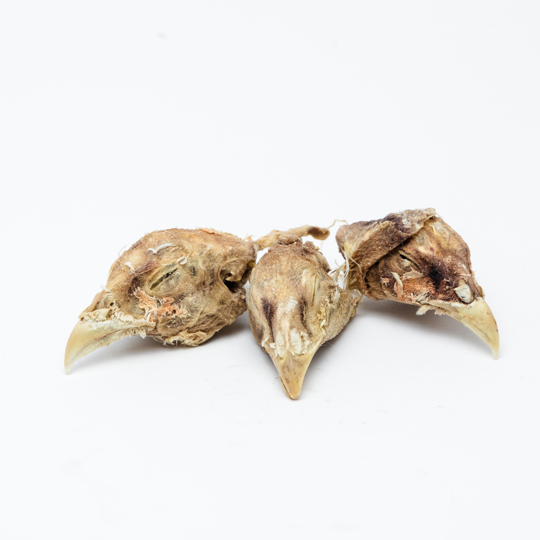 Three Wild Nosh Pets Freeze-Dried Pheasant Heads with beaks on a white background.