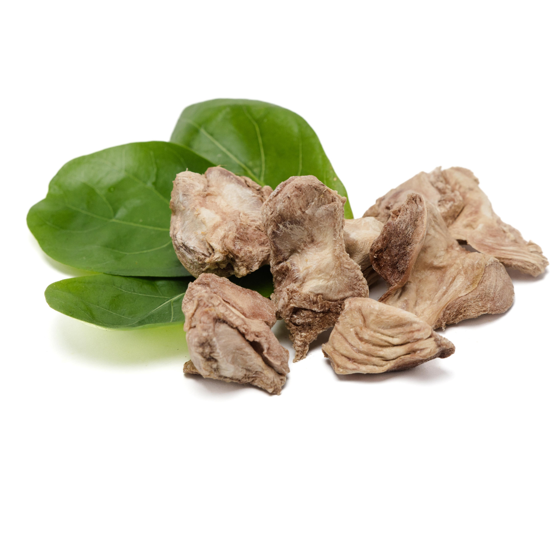 Several pieces of dried mushrooms are placed on green leaves against a white background, next to a few packets of Wild Nosh Pets Freeze-Dried Chicken Gizzards 3oz for added protein.