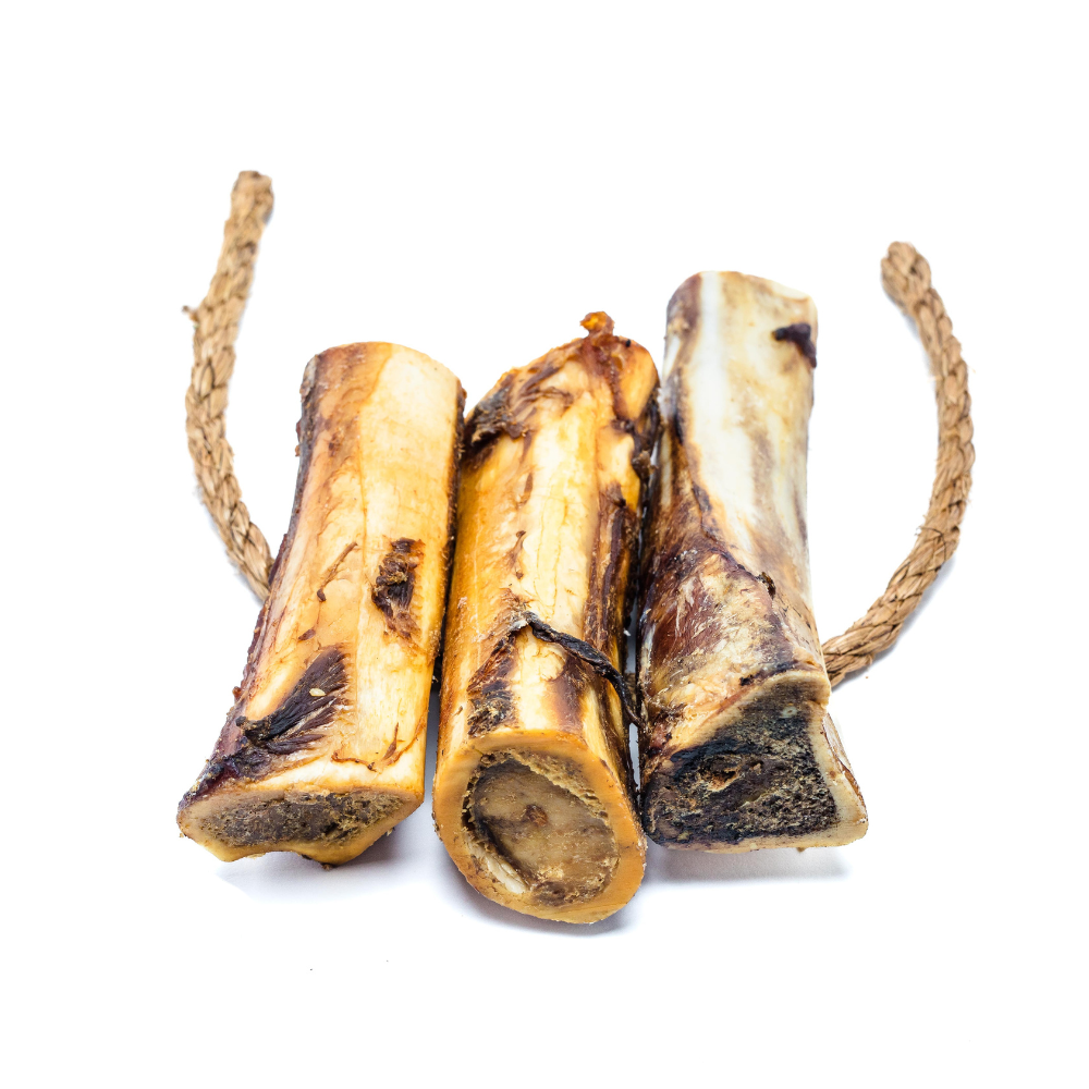 Bison Marrow Bone