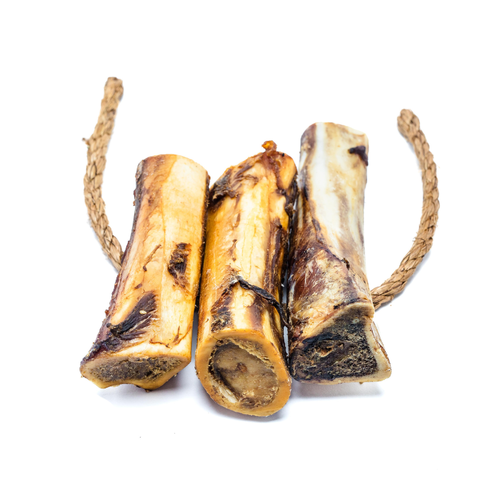 Three Smoked Bison Marrow Bones from Wild Nosh Pets tied together with a piece of rope, ideal for cleaning teeth and gums, isolated on a white background.