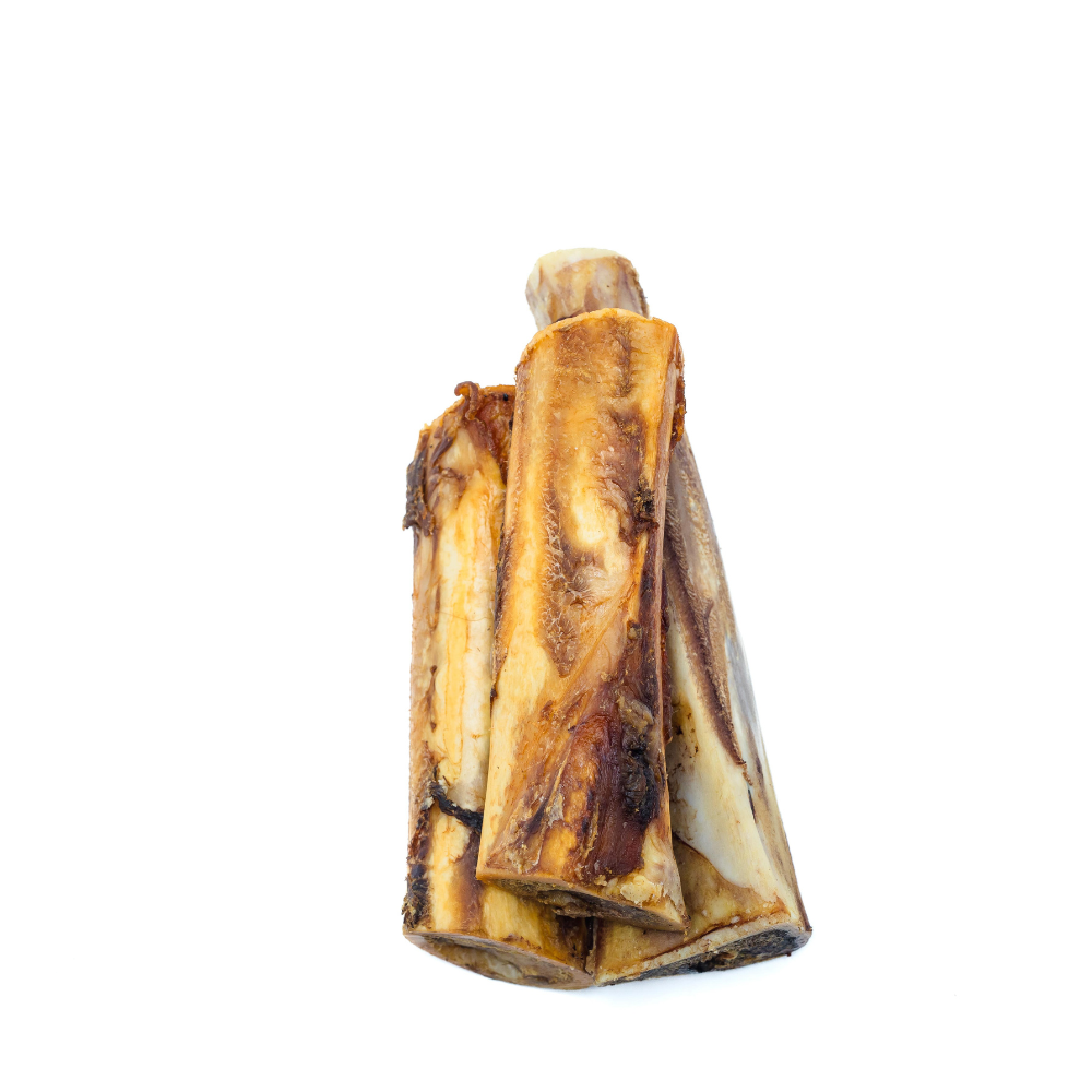 Bison Marrow Bone