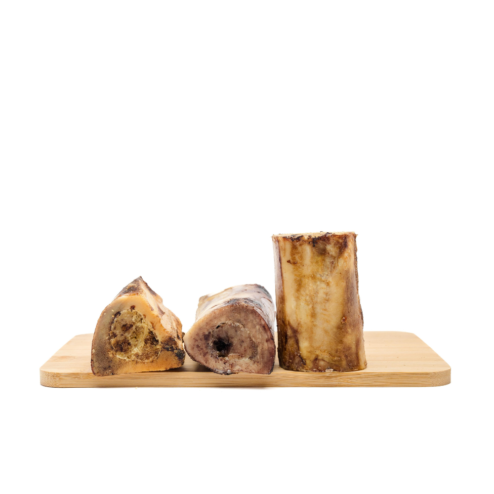 Bison Marrow Bone