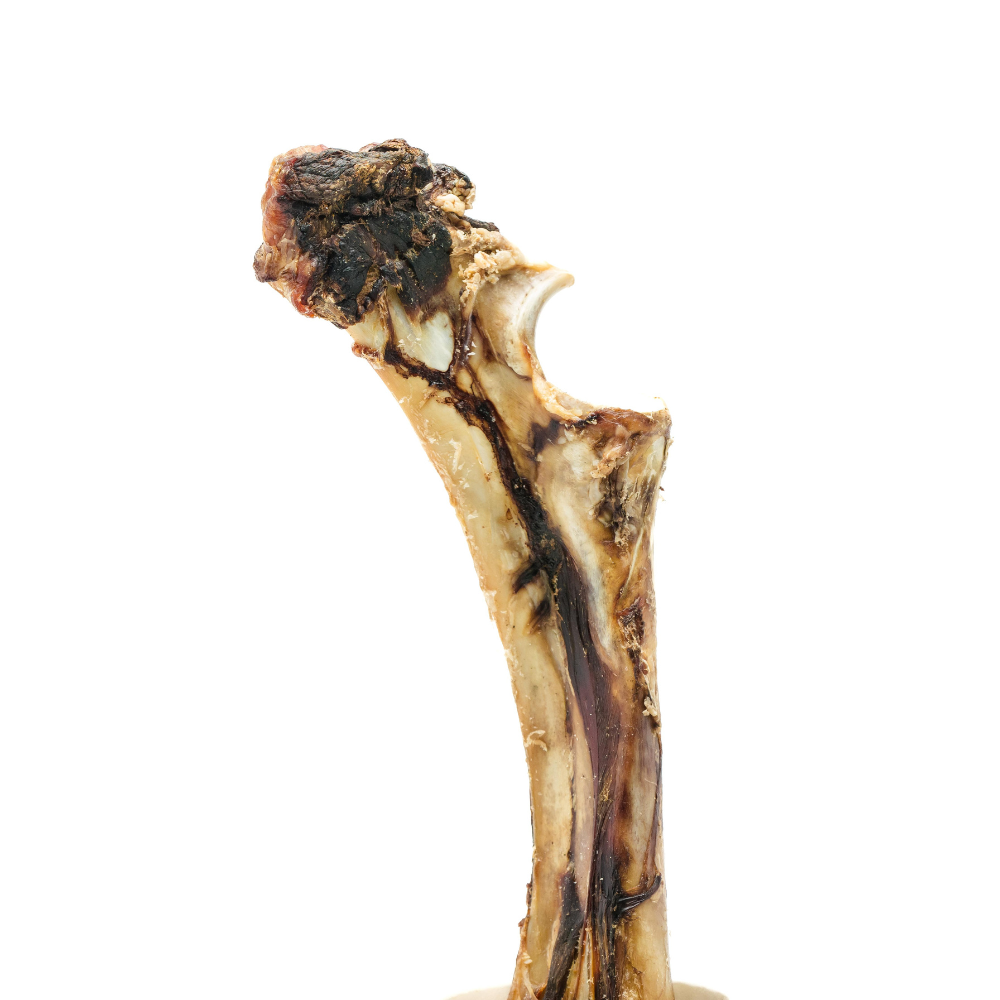 A single Smoked Bison "Dino" Bone from Wild Nosh Pets, featuring cooked meat with burnt remnants, isolated on a white background.