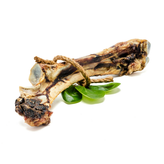 A large, partially chewed Smoked Bison "Dino" Bone by Wild Nosh Pets with a piece of rope tied around it, laying on a few green leaves against a white background.