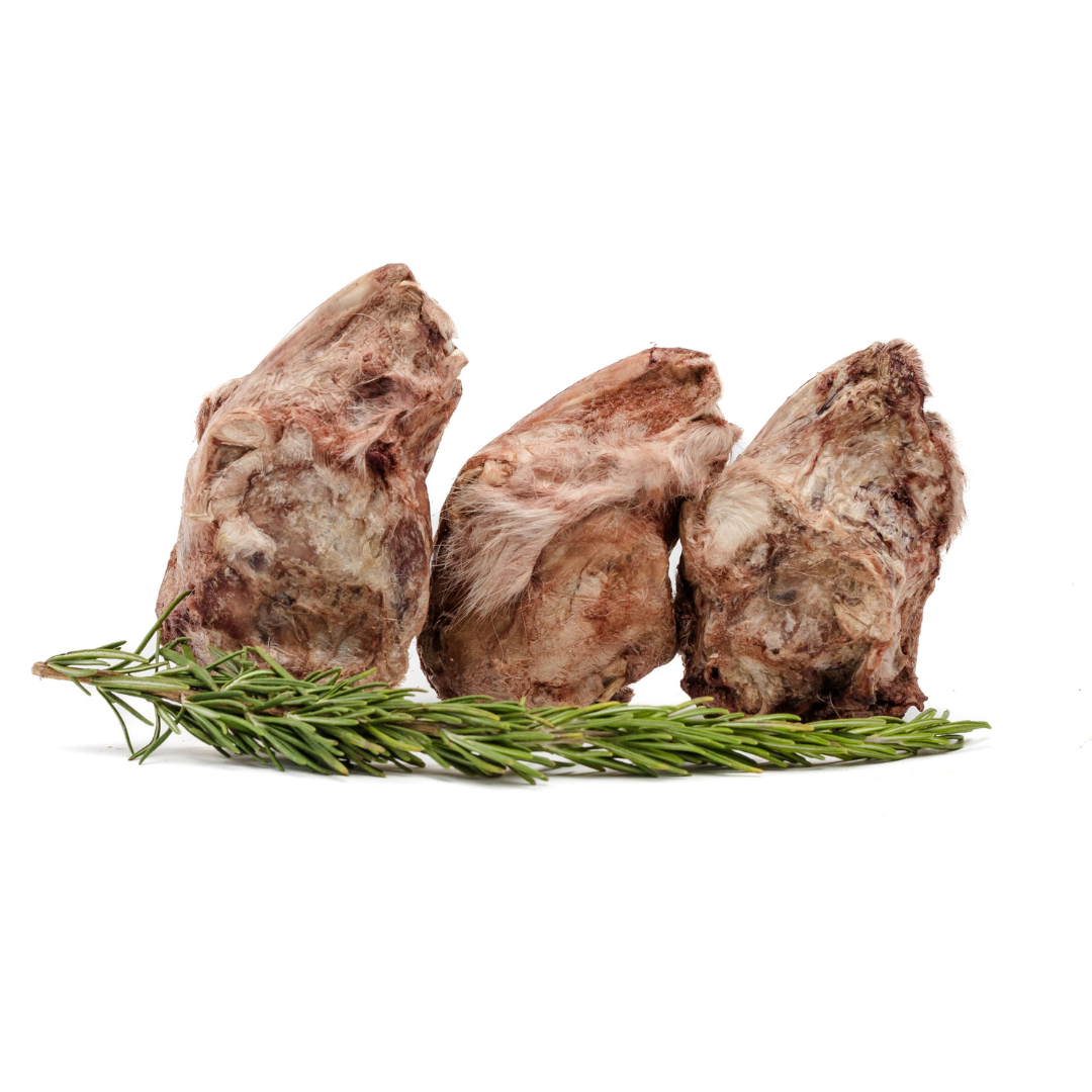 Three pieces of Wild Nosh Pets Freeze-Dried Rabbit Head with bone, partially covered in fur, placed behind a sprig of fresh rosemary.