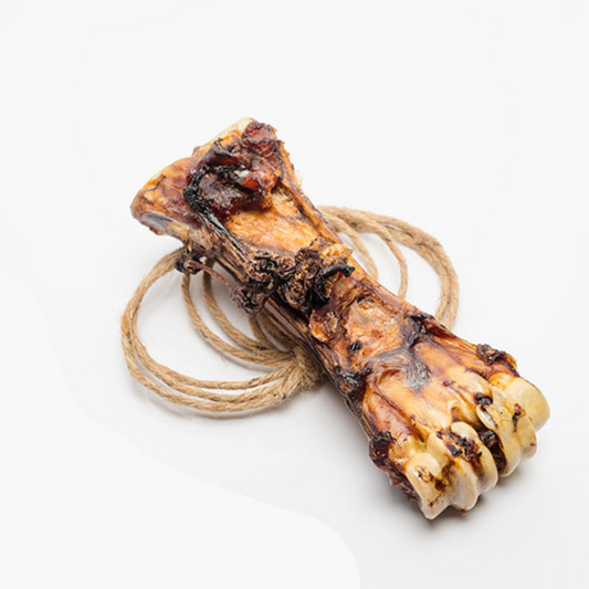 A Wild Nosh Pets Baked Bison Shin Bone on a white surface with a loop of brown rope placed under it, perfect for tenacious chewers seeking durable chews.