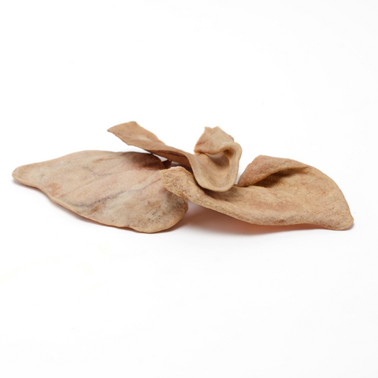 A close-up of two dried brown leaves against a plain white background, reminiscent of the texture you might find in Wild Nosh Pets' Heritage Breed Freeze-Dried Pig Ears.