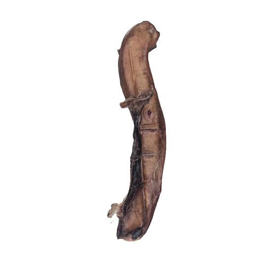 A 4-6" Bison Bully Stick from Wild Nosh Pets features a dried brown appearance with visible seams and small protrusions, offering a protein-rich chew that supports both health and sustainability.