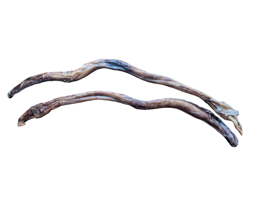 Two Wild Nosh Pets Jumbo 17-20" Bison Bully Sticks with a rough, textured surface are isolated on a white background.