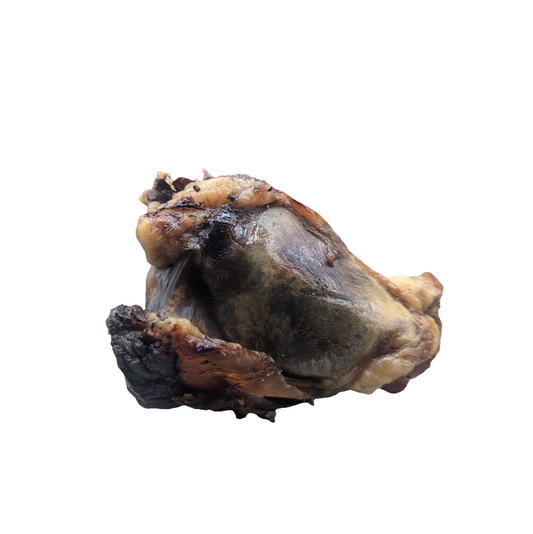 On a white background, a Smoked Bison Knee Cap by Wild Nosh Pets, complete with its bone intact and featuring a browned, slightly charred surface, offers a long-lasting chew.