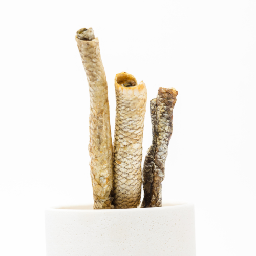 Three pieces of dried fish skin, rich in omega fatty acids, are standing upright in a white cylindrical container against a plain white background—Carp Skin Roll by Wild Nosh Pets, ideal Asian carp chews for dogs and cats.