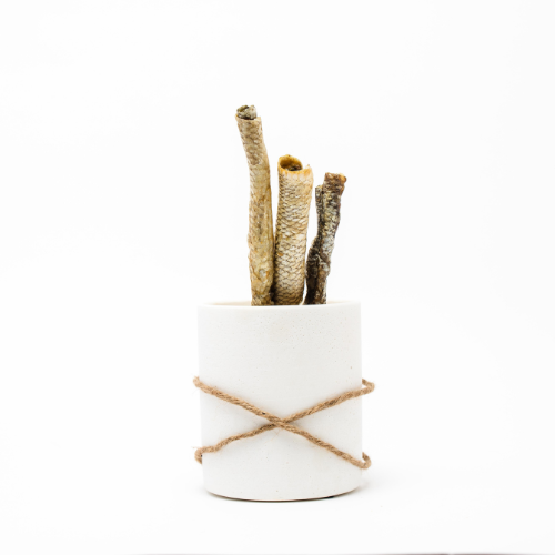 White pot with a rope tied around it, containing three pieces of Wild Nosh Pets Carp Skin Roll rich in omega fatty acids on a white background.