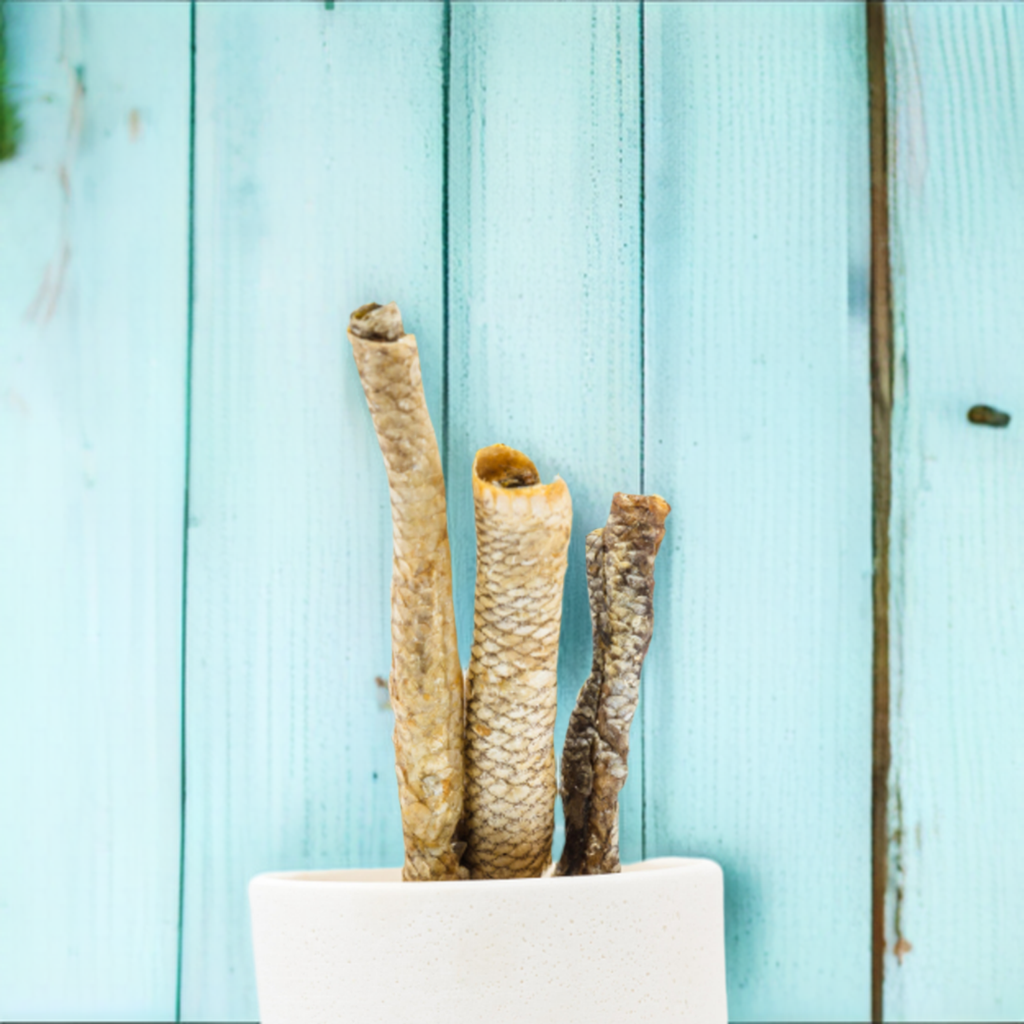 Three dried fish skins, rich in omega fatty acids, stand upright in a white container against a light blue wooden background. Ideal as Wild Nosh Pets Carp Skin Roll chews for dogs and cats.