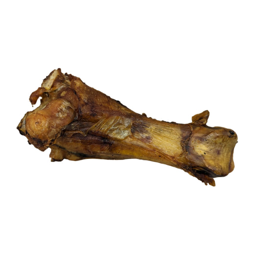 A Bison Joint Bone by Wild Nosh Pets rests prominently against a white background, its rich hues enhancing the scene.