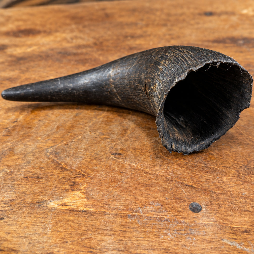 A dark, hollow, curved Wild Nosh Pets Bison Horn resting on a wooden surface as a natural dog chew.