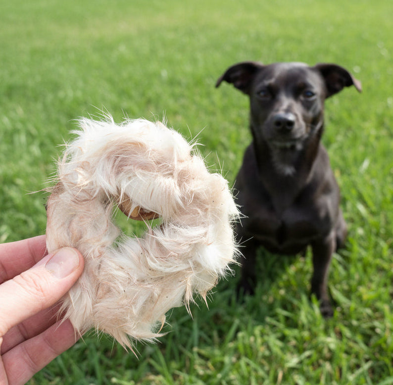 A hand holds a Wild Nosh Pets Rabbit Hide Donut—a circular, furry treat with a center hole—against shelves in an industrial setting; perfect for dogs with allergies seeking novel protein.