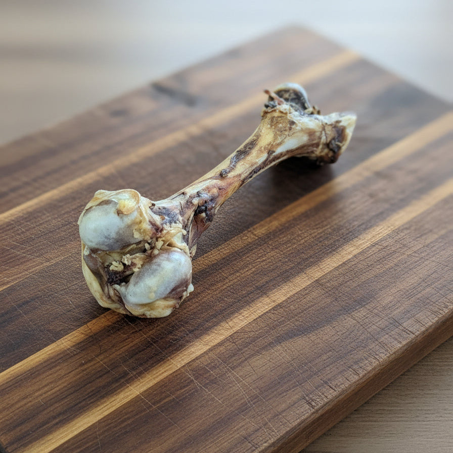 The Wild Nosh Pets Slow Roasted Bison "Dino" Bone—Limited Edition, 100% grass finished and field harvested—resembles a dino bone with meat remnants on a wood board, perfect for promoting dental health in dogs.