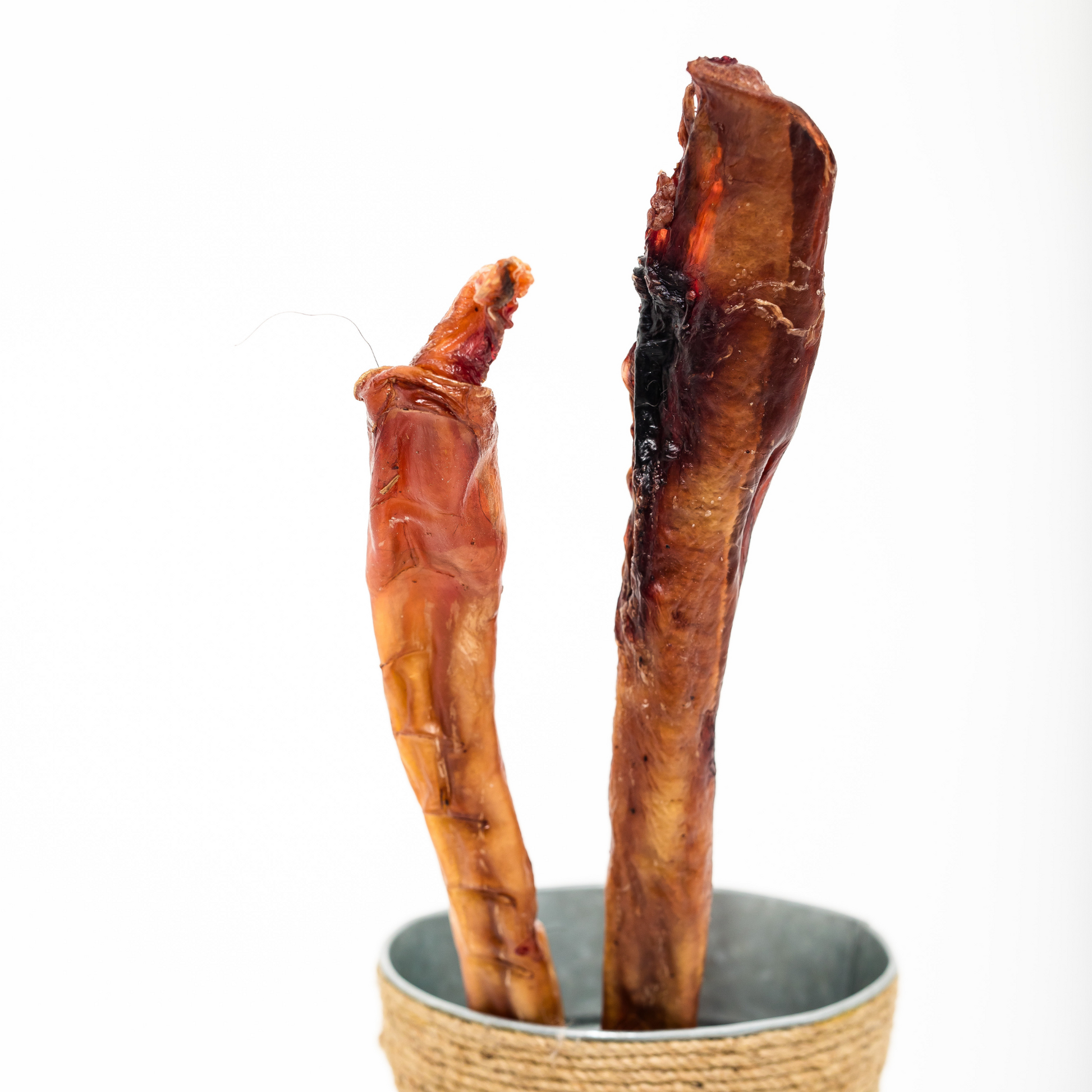 Two Bison Bully Sticks from Wild Nosh Pets, each a different length, stand upright in a metal container wrapped with jute, set against a white background.