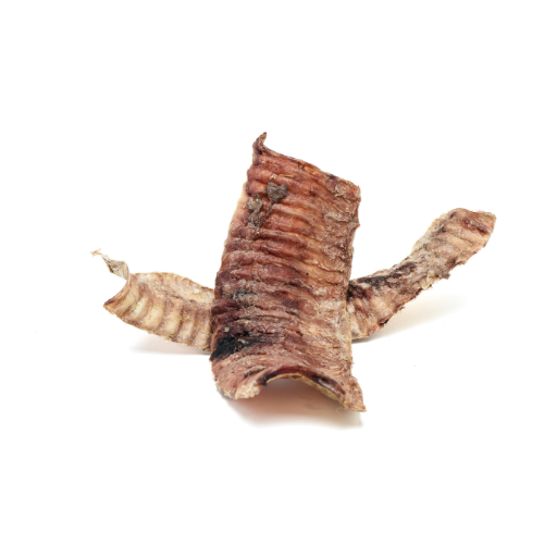 Close-up of a single, crumpled piece of Freeze-Dried Bison Trachea Split by Wild Nosh Pets, showing its textured, wrinkled surface on a white background - an excellent treat for senior dogs or teething puppies.