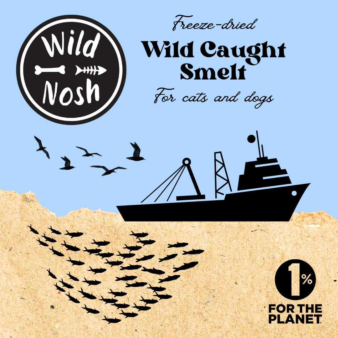 The packaging for Wild Nosh Pets' Freeze-Dried Smelt 1 oz. features a ship and fish silhouette on a blue and brown background, promoting sustainable seafood. The text highlights Omega-3 fatty acids, making it a nutritious choice for pets.