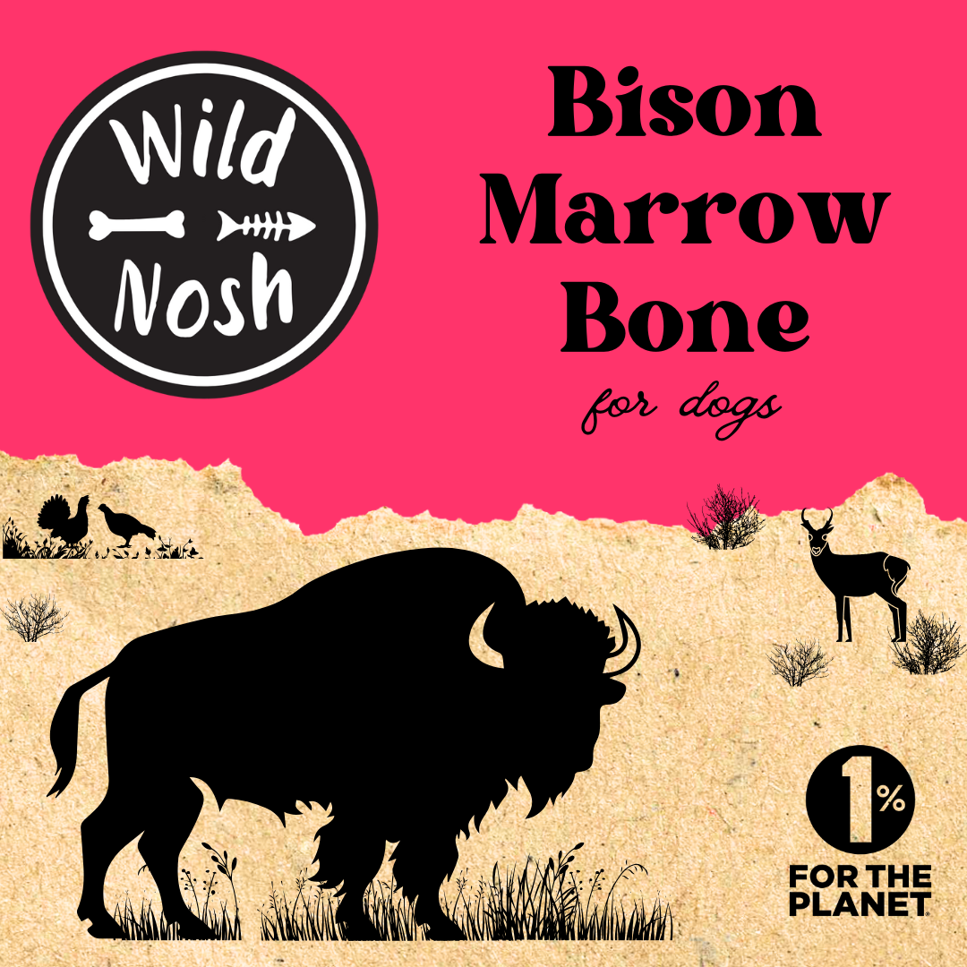 The Smoked Bison Marrow Bone by Wild Nosh Pets features a bison silhouette and wildlife images on a red and tan background. Great for teeth cleaning, this durable chew supports environmental efforts with the "1% for the Planet" symbol.